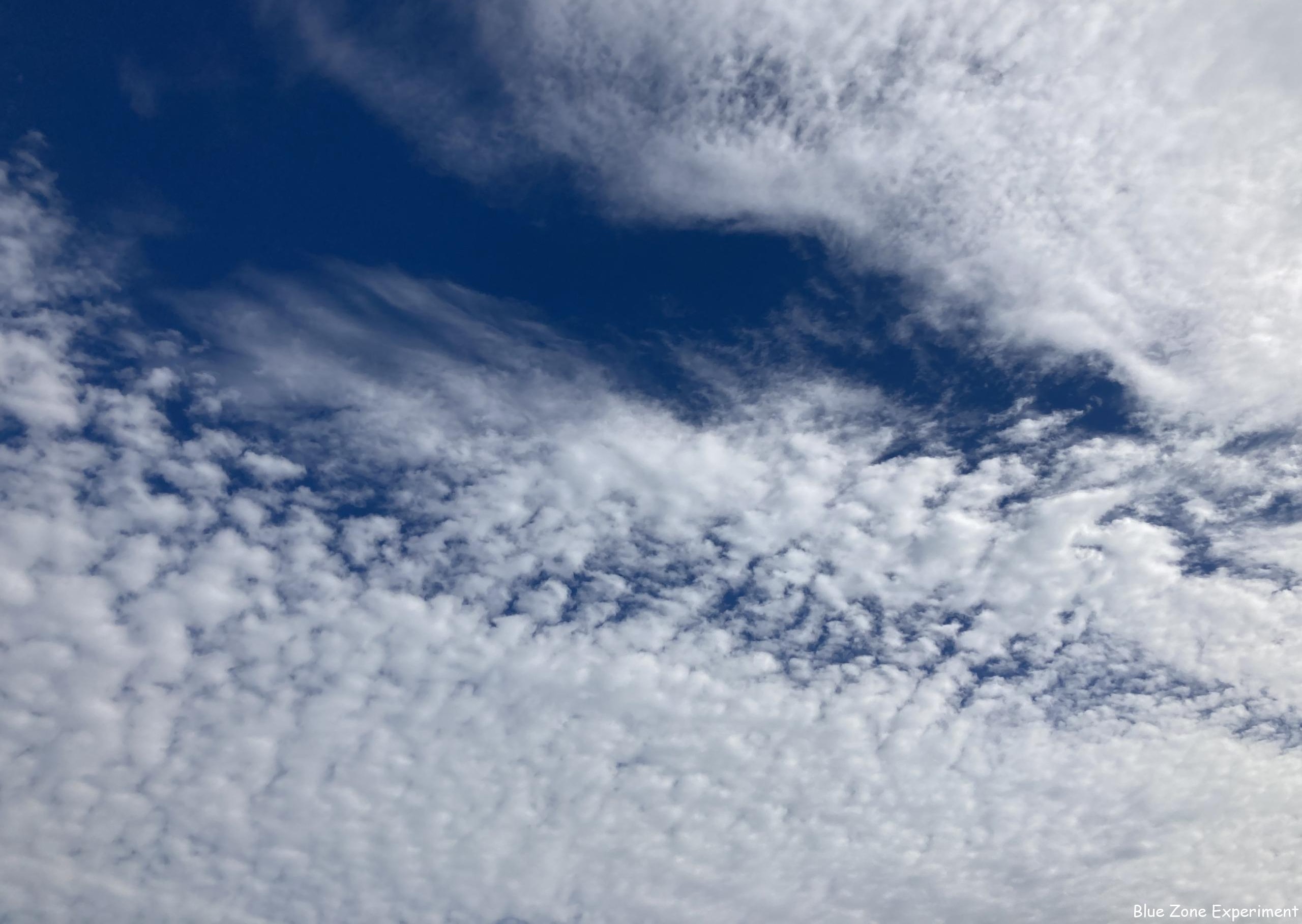 貸農園で畑をはじめるー化学肥料と農薬を使わない野菜作りー
