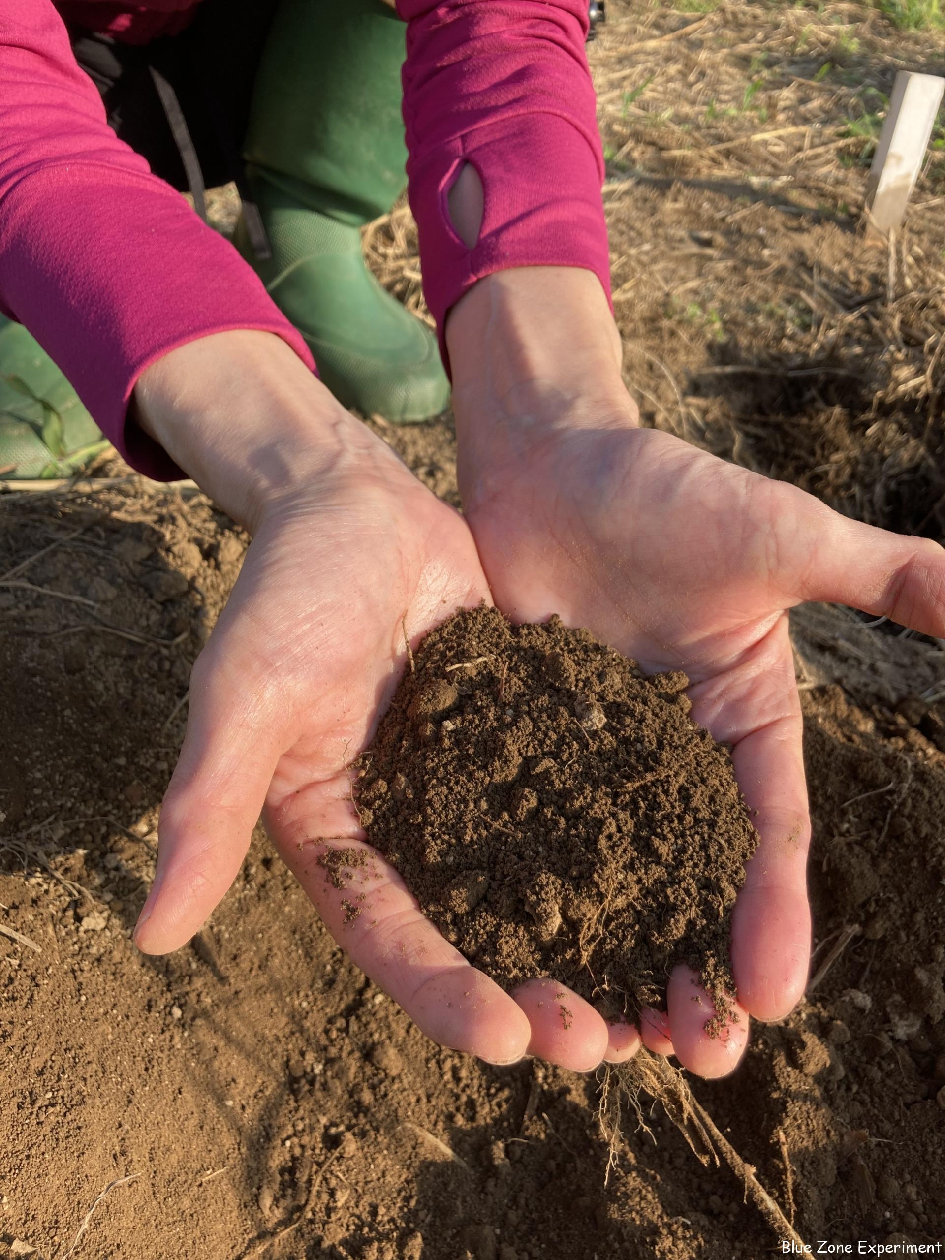 究極の簡単コンポスト ー畑で生ゴミを堆肥にー