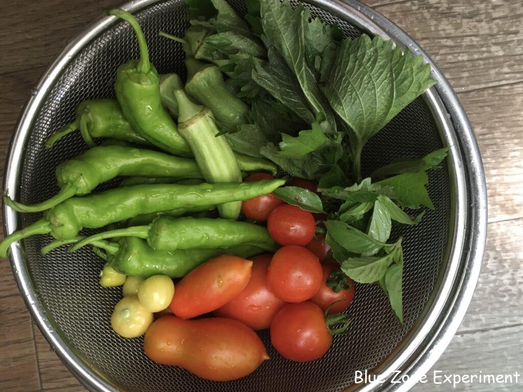 自然農野菜